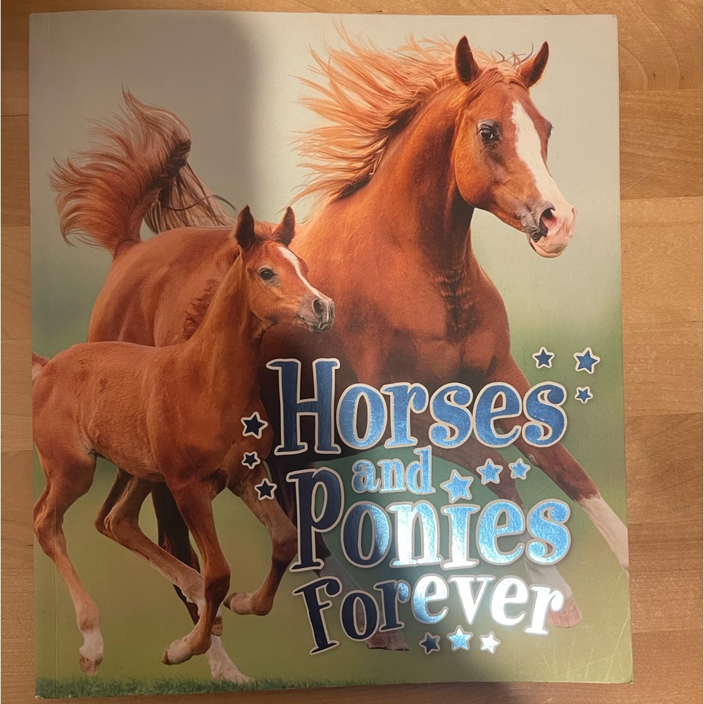 Horses! - Picture 2 of 5